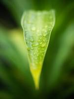 Antoine PIHEN - Antoine Pihen Photographe