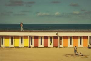 Olivier ALLARD - ALLARD OLIVIER